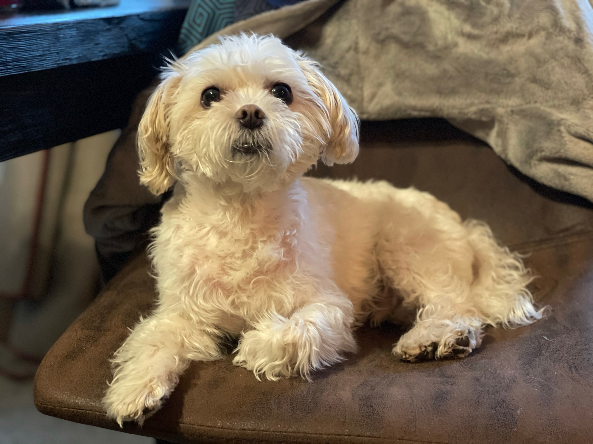 Moment photo