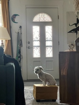 Photo by johnny lundgren