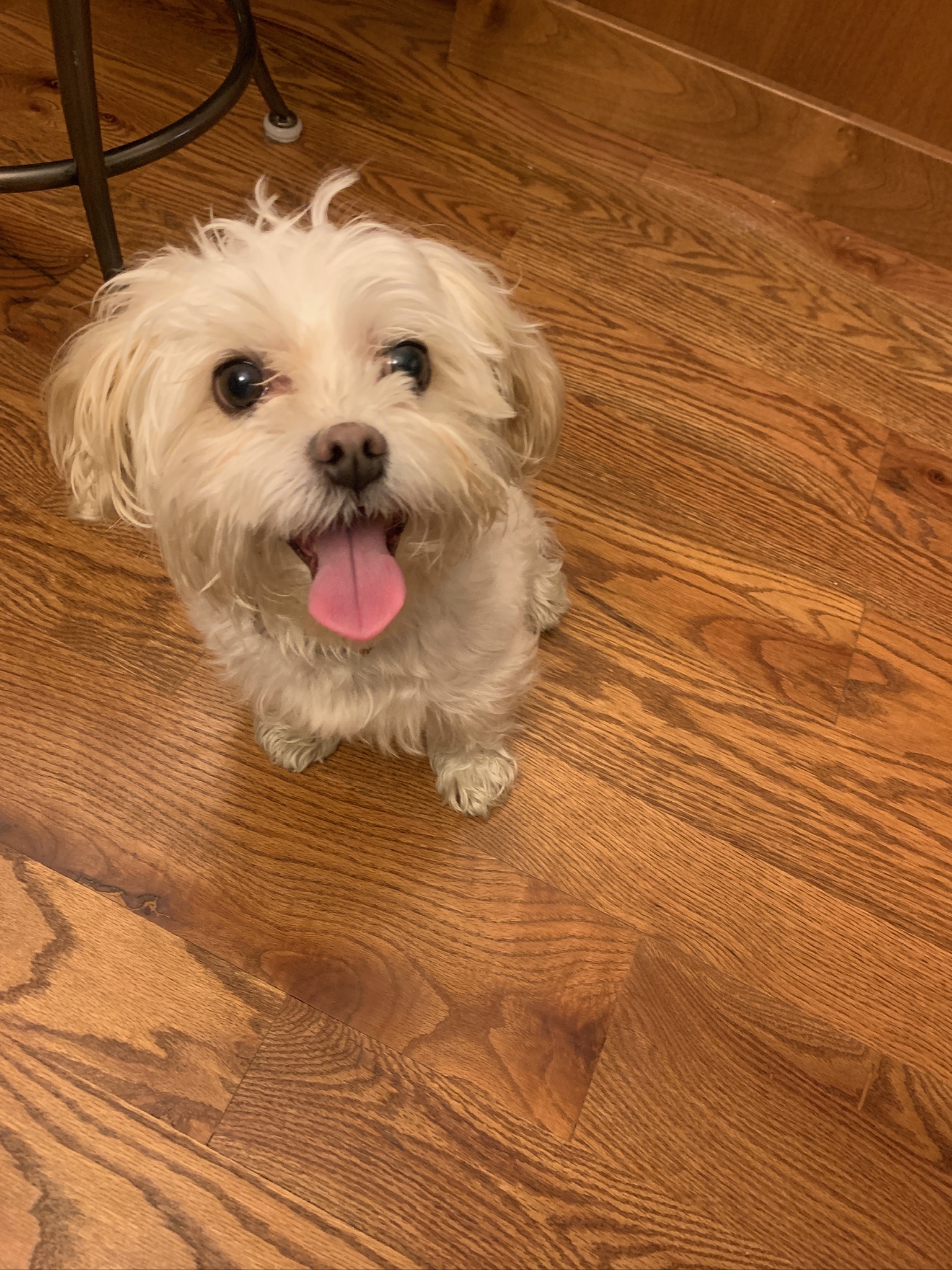 Moment photo
