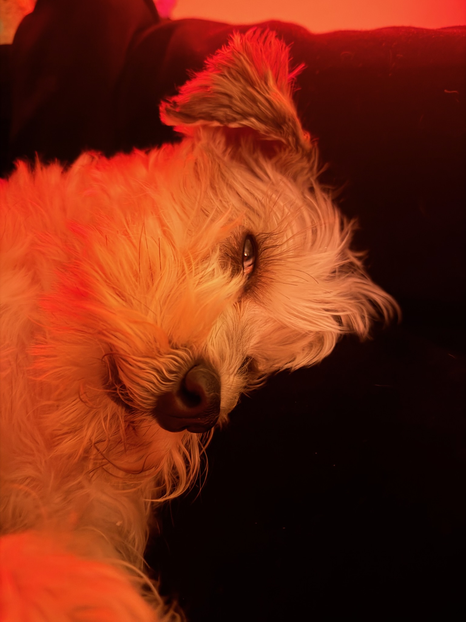 Photo by johnny lundgren
